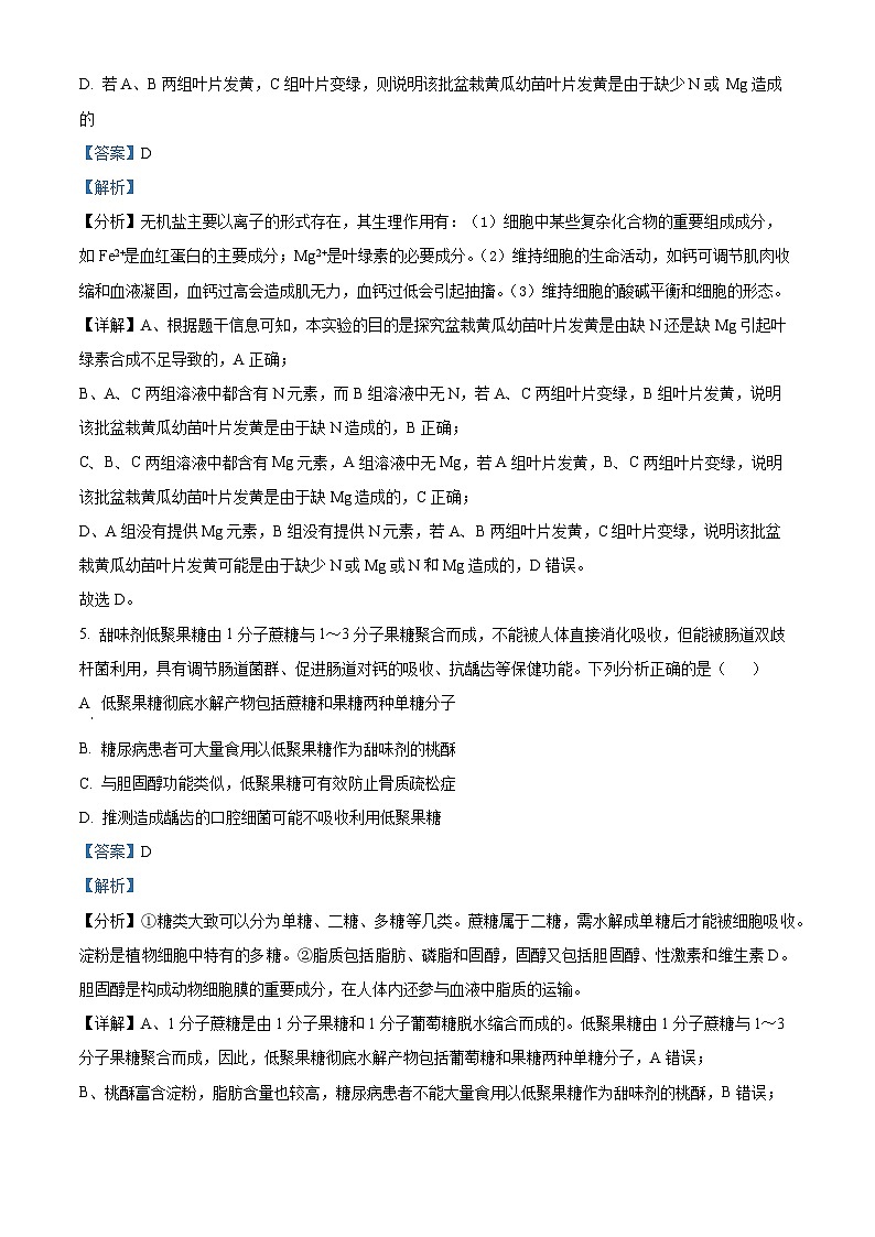 四川省内江市威远中学2024-2025学年高三上学期9月月考生物试题（Word版附解析）03