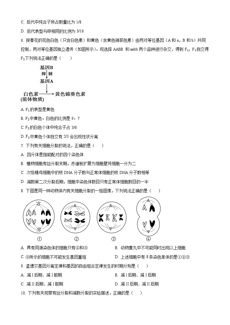 四川省西充中学2024-2025学年高二上学期开学考试生物试题 Word版无答案第2页