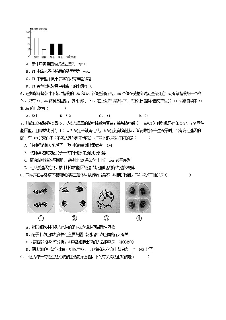 四川省宜宾市三中教育集团2024-2025学年高二上学期开学考试生物试题（Word版附答案）第2页