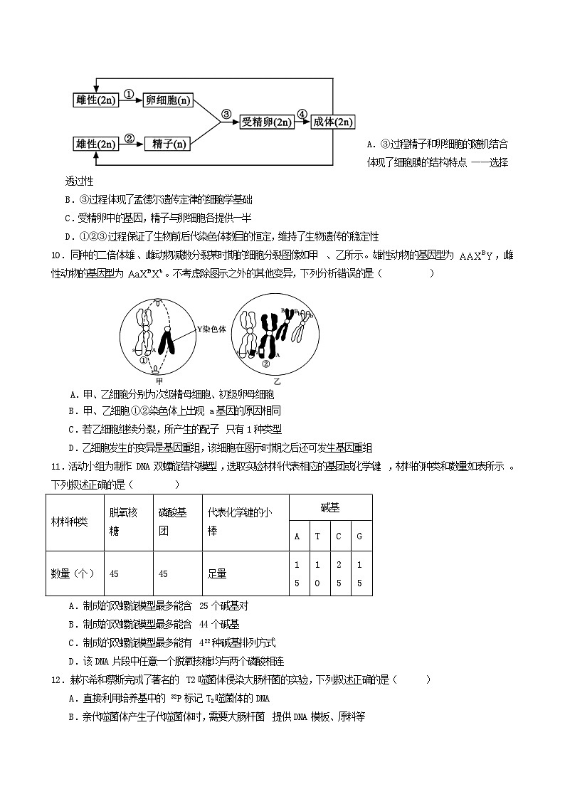 四川省宜宾市三中教育集团2024-2025学年高二上学期开学考试生物试题（Word版附答案）第3页