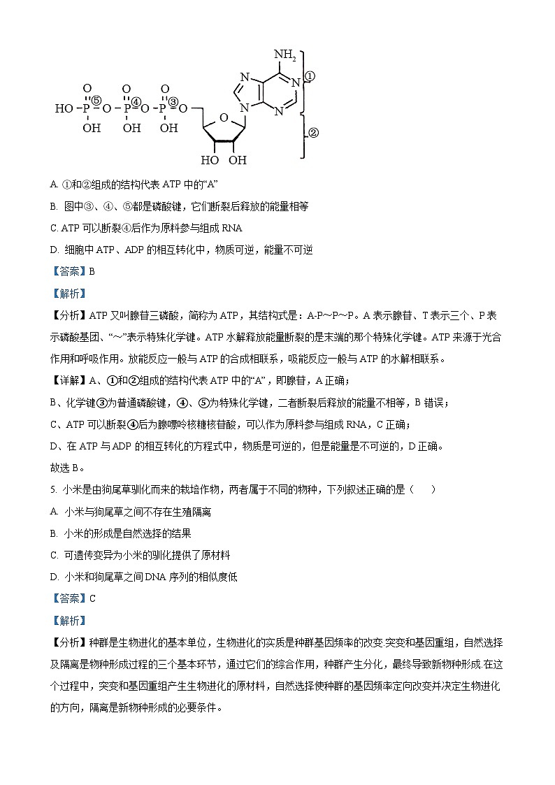 浙江省G12名校协作体2024-2025学年高二上学期开学考试生物试题（Word版附解析）03