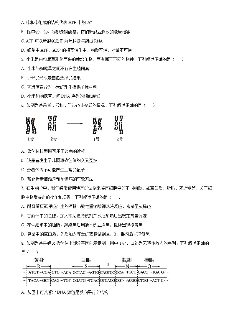 浙江省G12名校协作体2024-2025学年高二上学期开学考试生物试题（Word版附解析）02