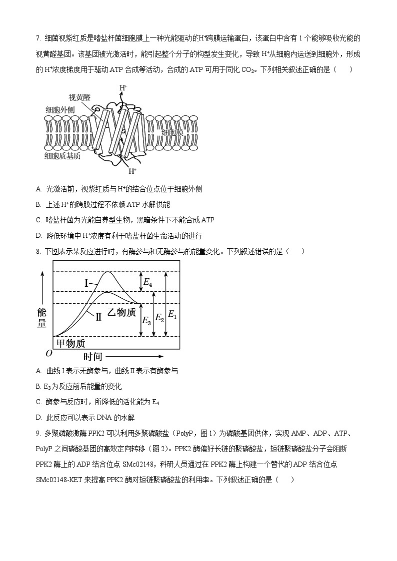 重庆市沙坪坝区南开中学校2024-2025学年高三上学期9月第一次质量检测生物试题 Word版无答案第3页