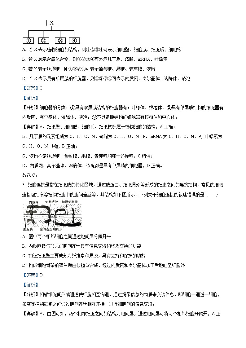 重庆市沙坪坝区南开中学校2024-2025学年高三上学期9月第一次质量检测生物试题 Word版含解析第2页