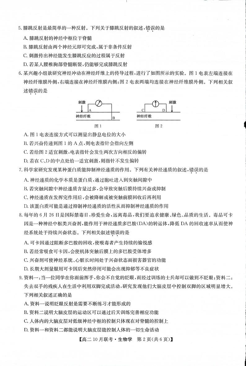 九师洛阳强基联盟2023-2024学年高二上学期10月联考生物试卷及答案第2页