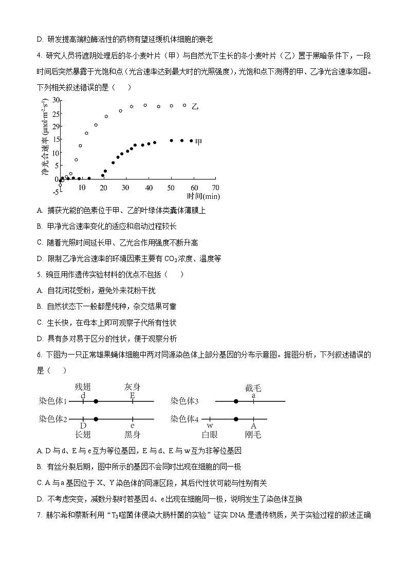北京市东城区2023-2024学年高一下学期期末考试生物试卷（Word版附解析）02