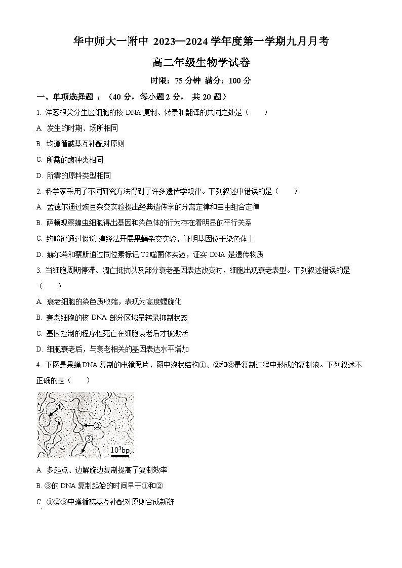 湖北省华中师范大学一附中2023～2024学年高二9月月考生物试题 Word版无答案第1页