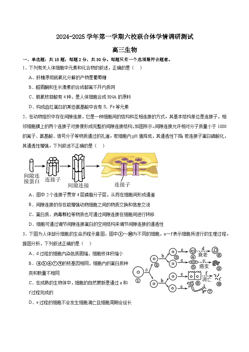 江苏省南京市六校联合体2024-2025学年高三上学期8月学情调研测试生物试卷（Word版附解析）01