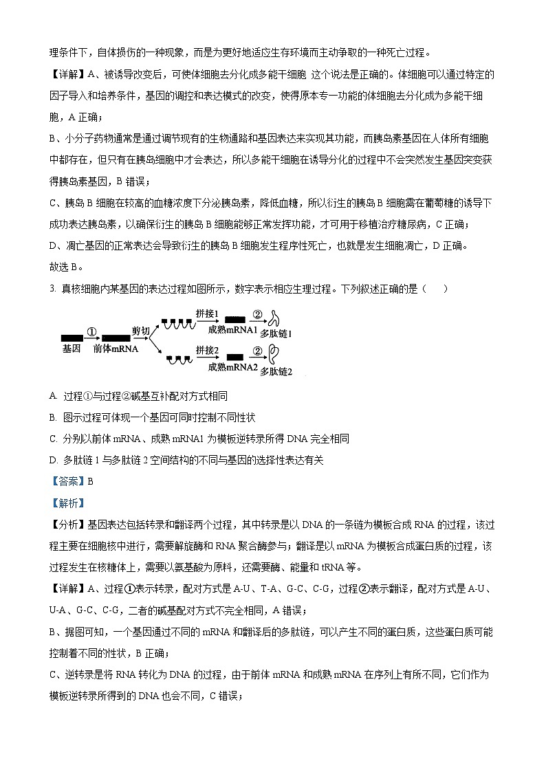 江西省宜春市2024-2025学年高二上学期开学考试生物试题（原卷版+解析版）02