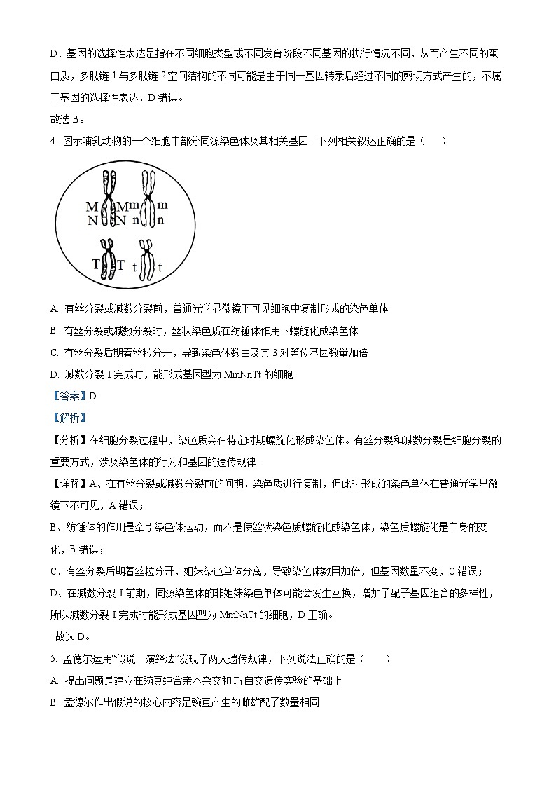 江西省宜春市2024-2025学年高二上学期开学考试生物试题（原卷版+解析版）03