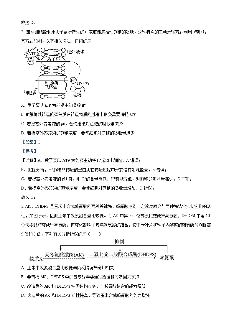 河南省许昌市魏都区许昌高级中学2024-2025学年高三上学期开学生物试题（解析版）第2页