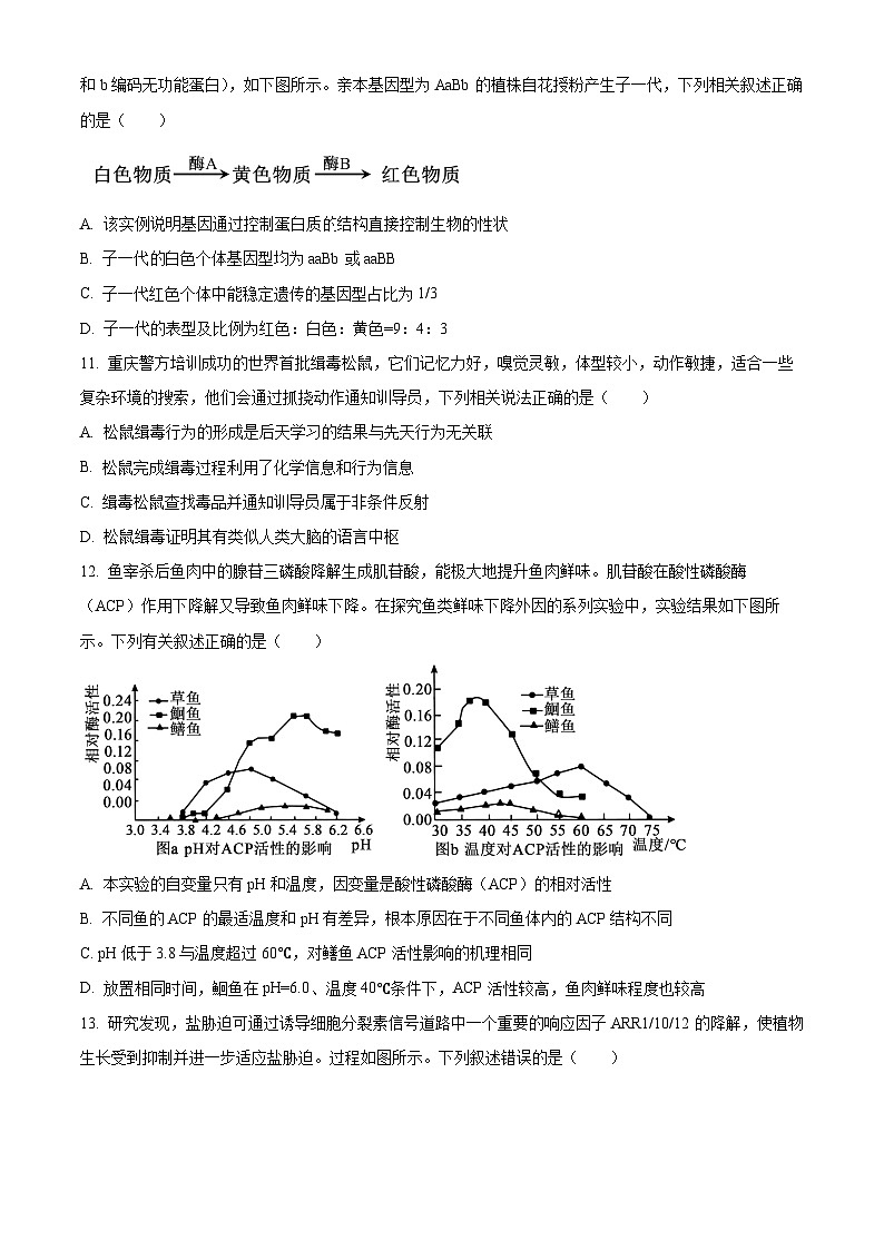 广东省深圳市第七高级中学2024-2025学年高三上学期第一次月考生物试卷（原卷版）第3页
