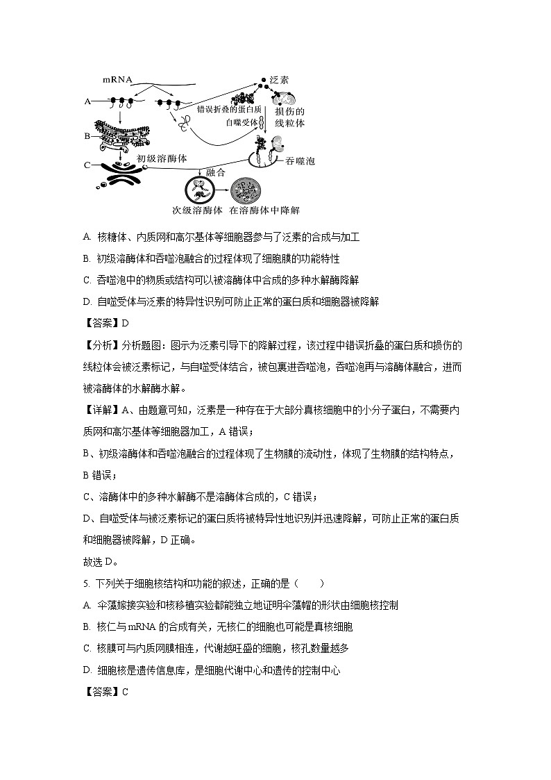 [生物][期末]河北省张家口市2023-2024学年高二下学期7月期末考试试题(解析版)03