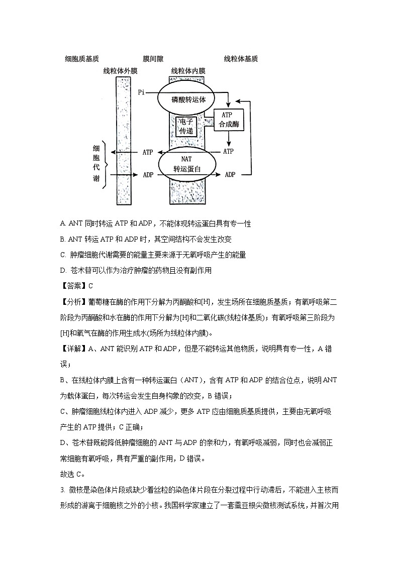 [生物]安徽省鼎尖教育联考2024-2025学年高二上学期开学考试试题(解析版)02