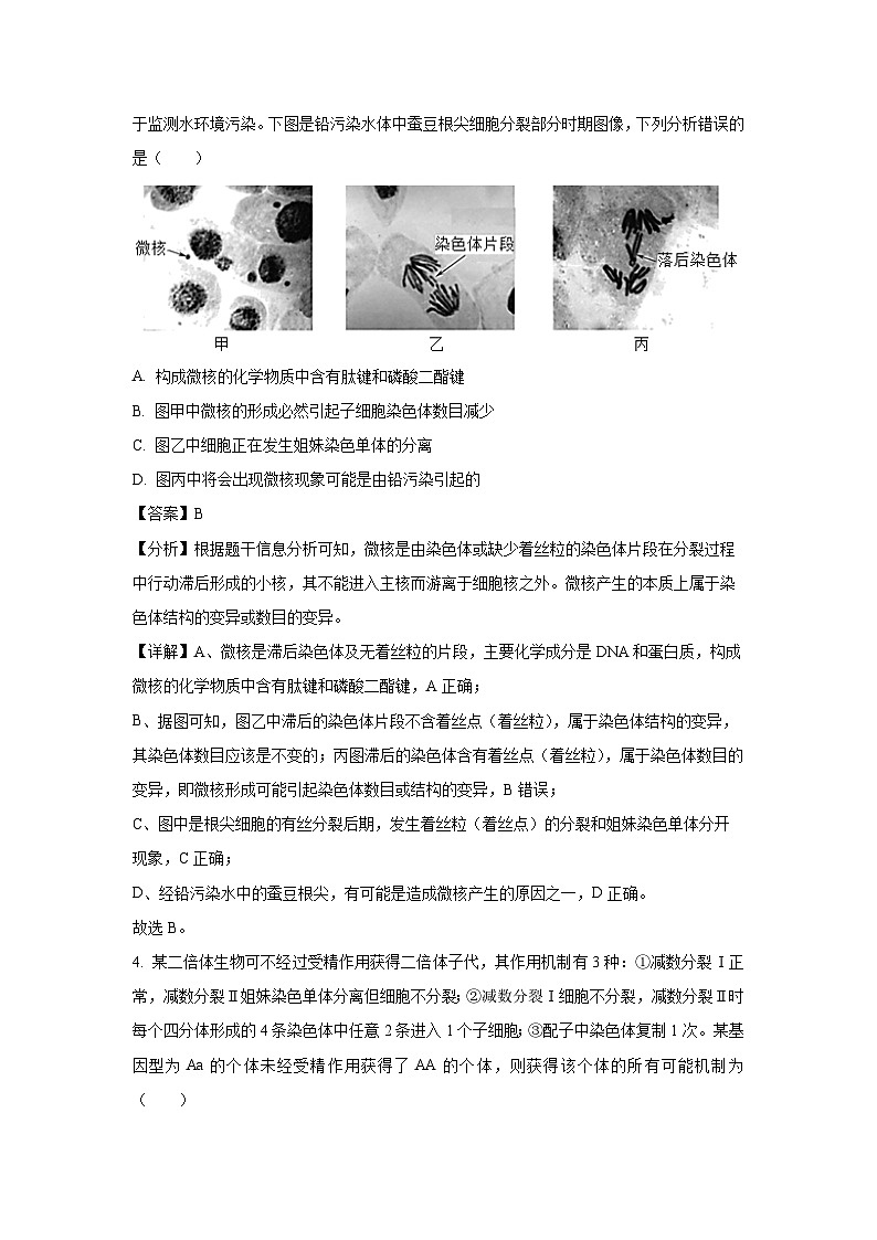 [生物]安徽省鼎尖教育联考2024-2025学年高二上学期开学考试试题(解析版)03