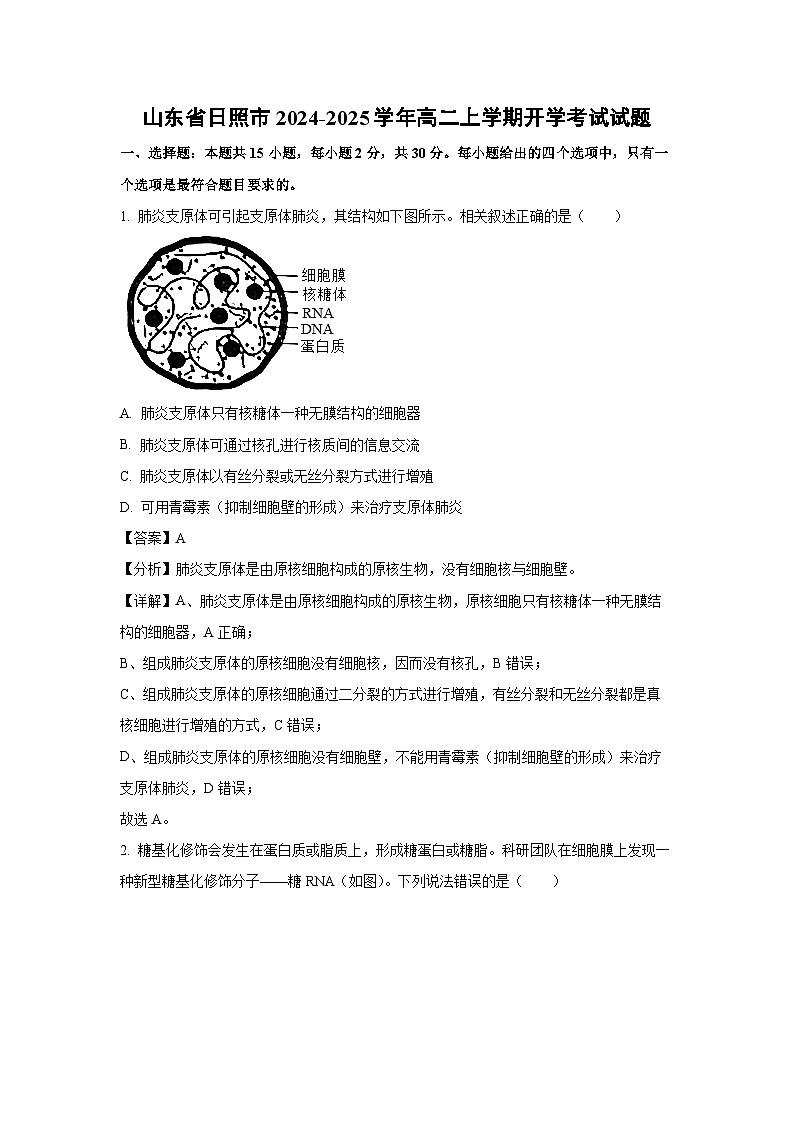 [生物]山东省日照市2024-2025学年高二上学期开学考试试题(解析版)01