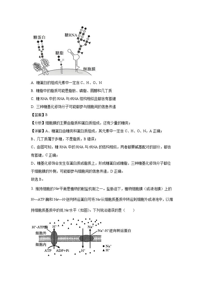 [生物]山东省日照市2024-2025学年高二上学期开学考试试题(解析版)02