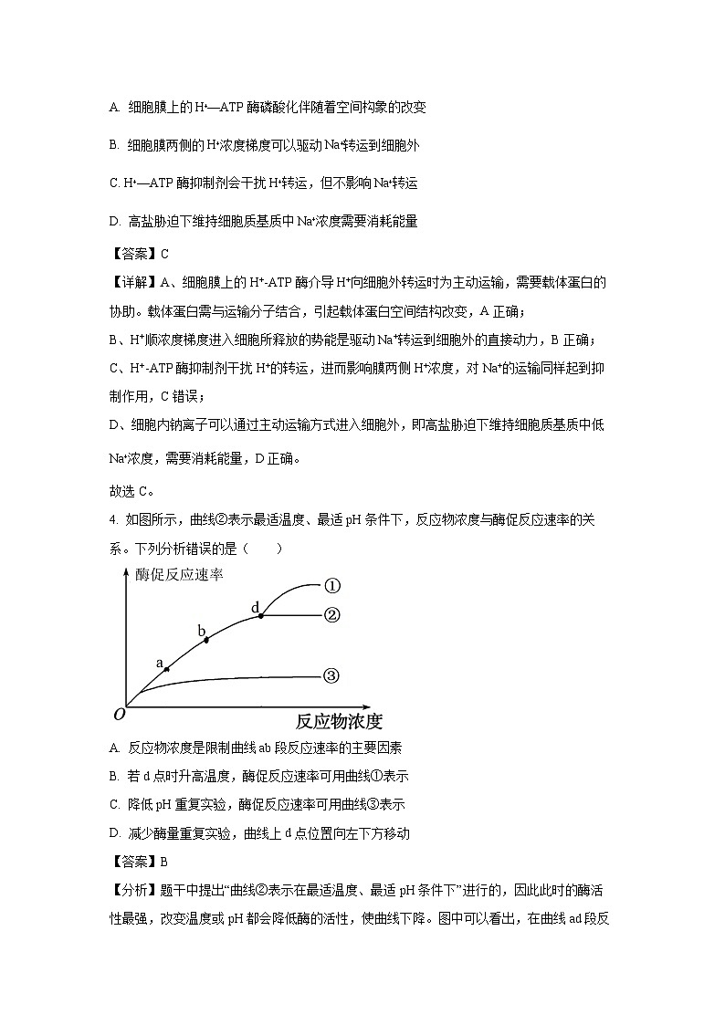 [生物]山东省日照市2024-2025学年高二上学期开学考试试题(解析版)03