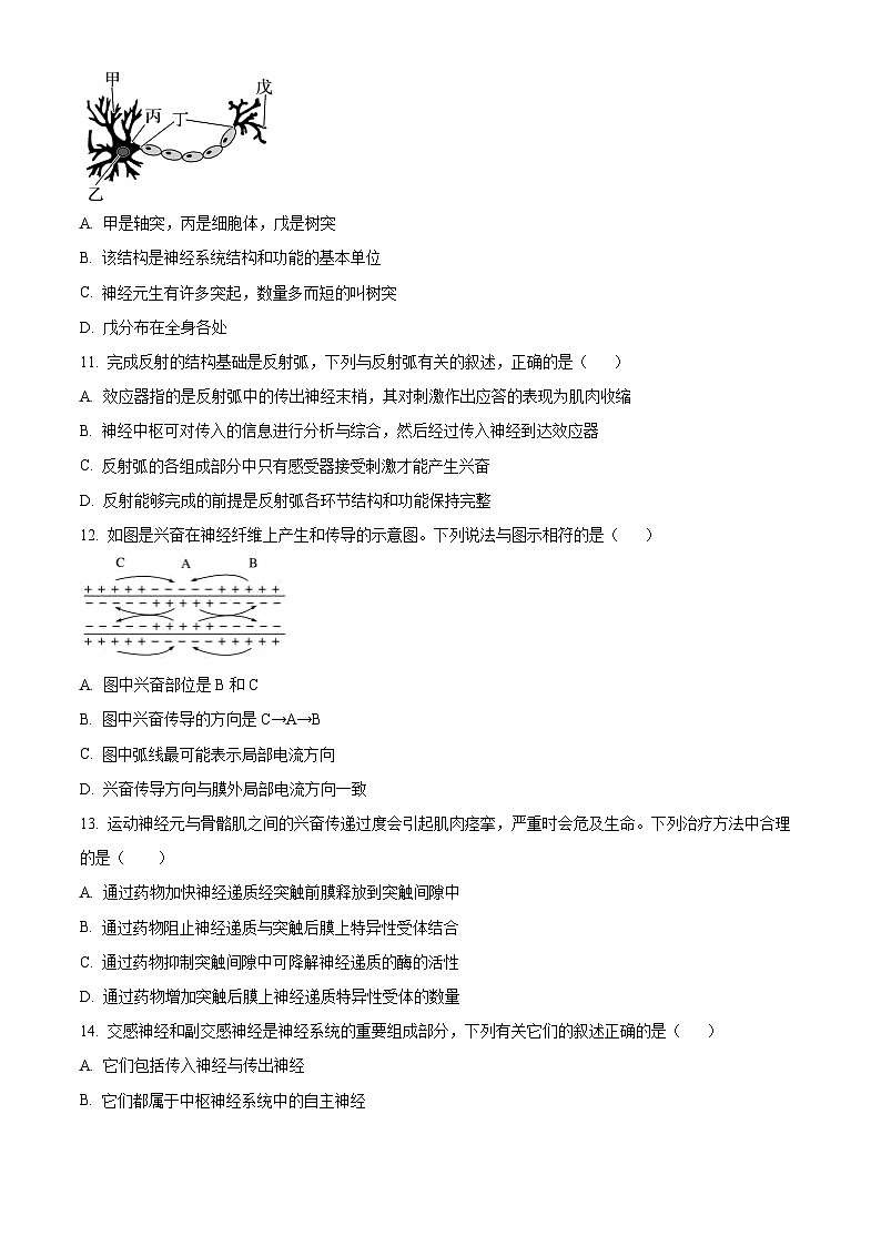甘肃省兰州市2024-2025学年高二上学期第一次月考摸底生物试题（原卷版）第3页