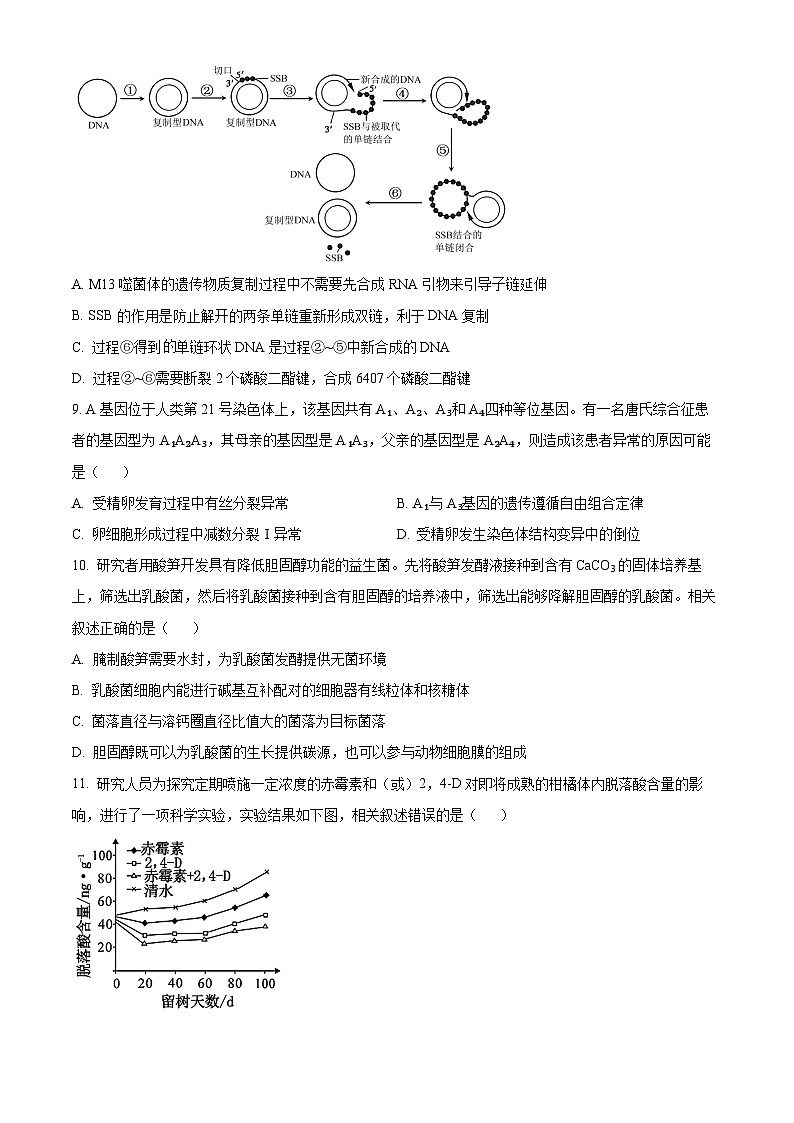 江苏省南通市海安市2024-2025学年高三上学期期初学业质量监测生物试题（原卷版）第3页