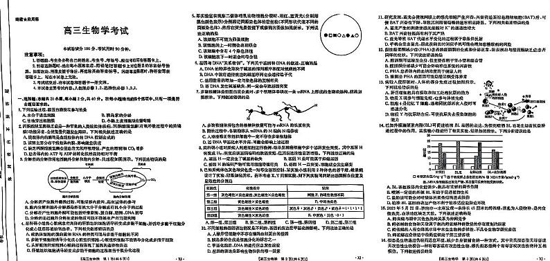新疆2024-2025学年高三上学期9月第一次质量检测生物试卷01