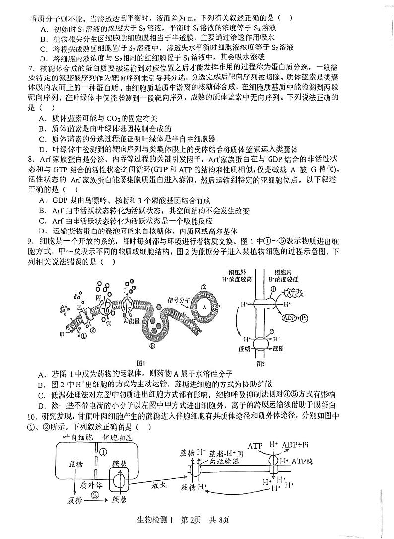 江苏省盐城市射阳县射阳中学2024-2025学年高三上学期9月月考生物试题第2页