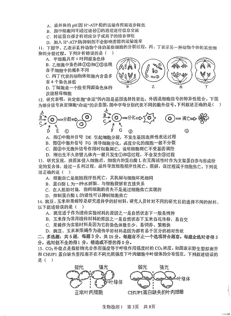 江苏省盐城市射阳县射阳中学2024-2025学年高三上学期9月月考生物试题第3页