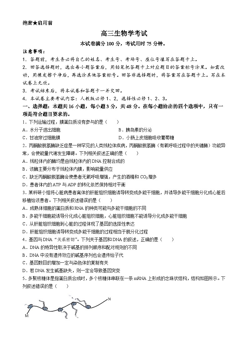 甘肃、青海、宁夏2025届高三上学期9月开学大联考试题 生物 Word版含解析第1页