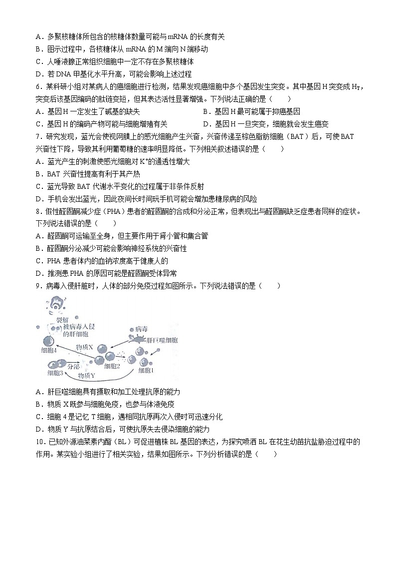 甘肃、青海、宁夏2025届高三上学期9月开学大联考试题 生物 Word版含解析第2页