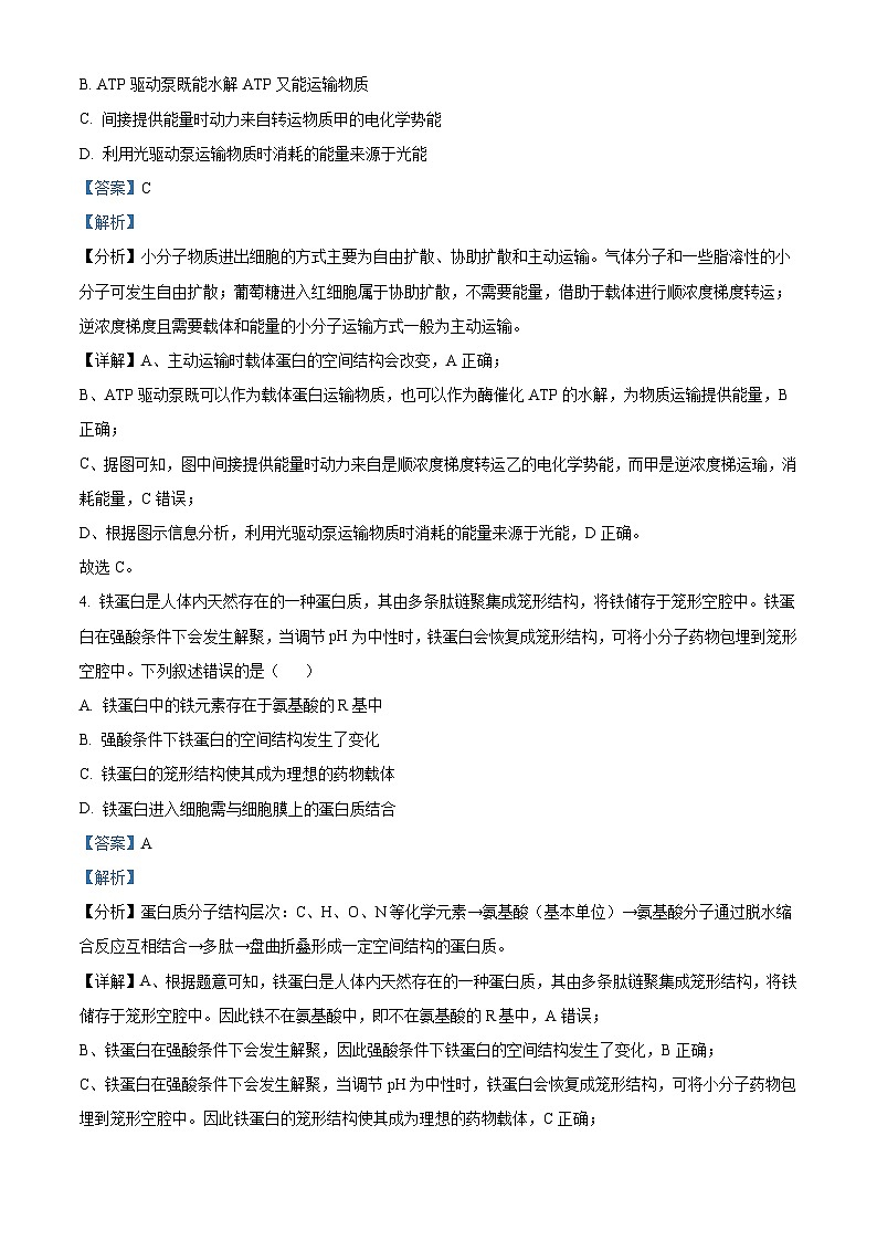 湖北省武汉市部分学校2024-2025学年高三上学期9月调研考试生物试卷 Word版含解析03