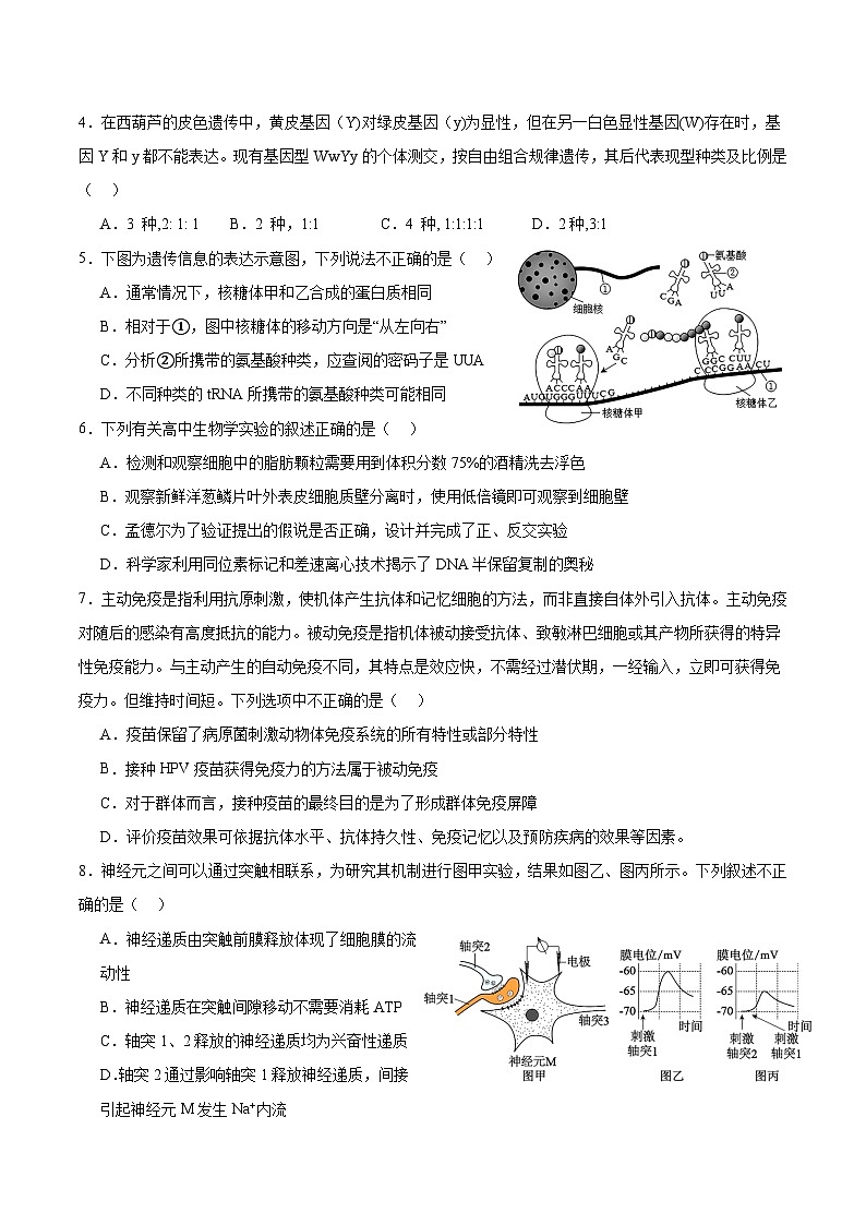 江苏省南京市六校联合体2024-2025学年高三上学期8月学情调研测试 生物 Word版含解析02