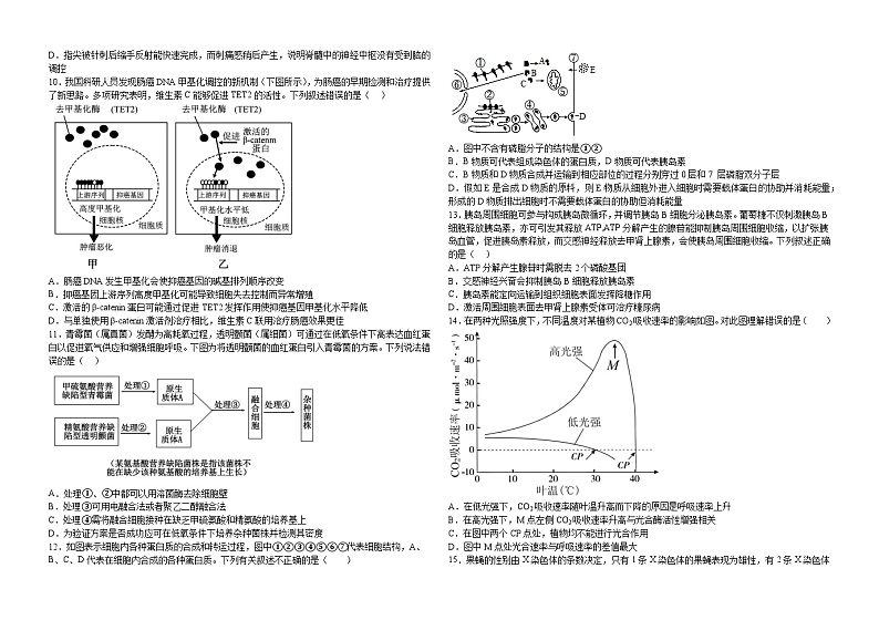 生物试题——黑龙江省鹤岗市第一中学2023-2024学年高三上学期第一次月考（9月）第2页