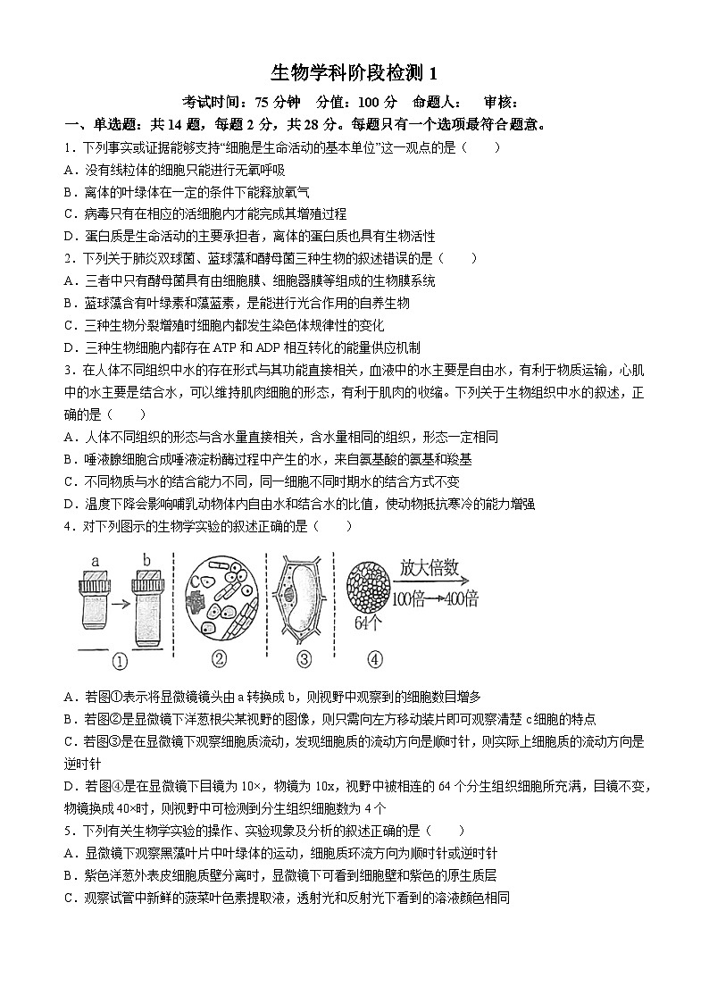 江苏省盐城市射阳县射阳中学2024-2025学年高三上学期9月月考生物试题第1页