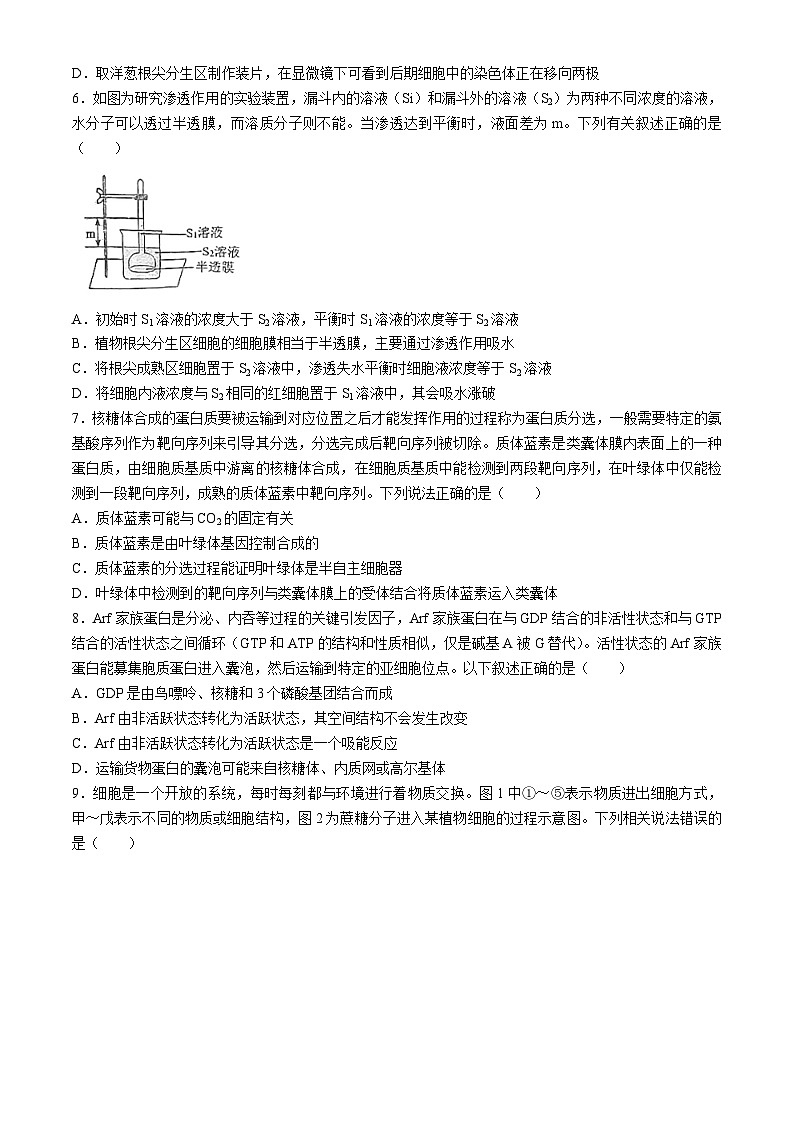 江苏省盐城市射阳县射阳中学2024-2025学年高三上学期9月月考生物试题第2页