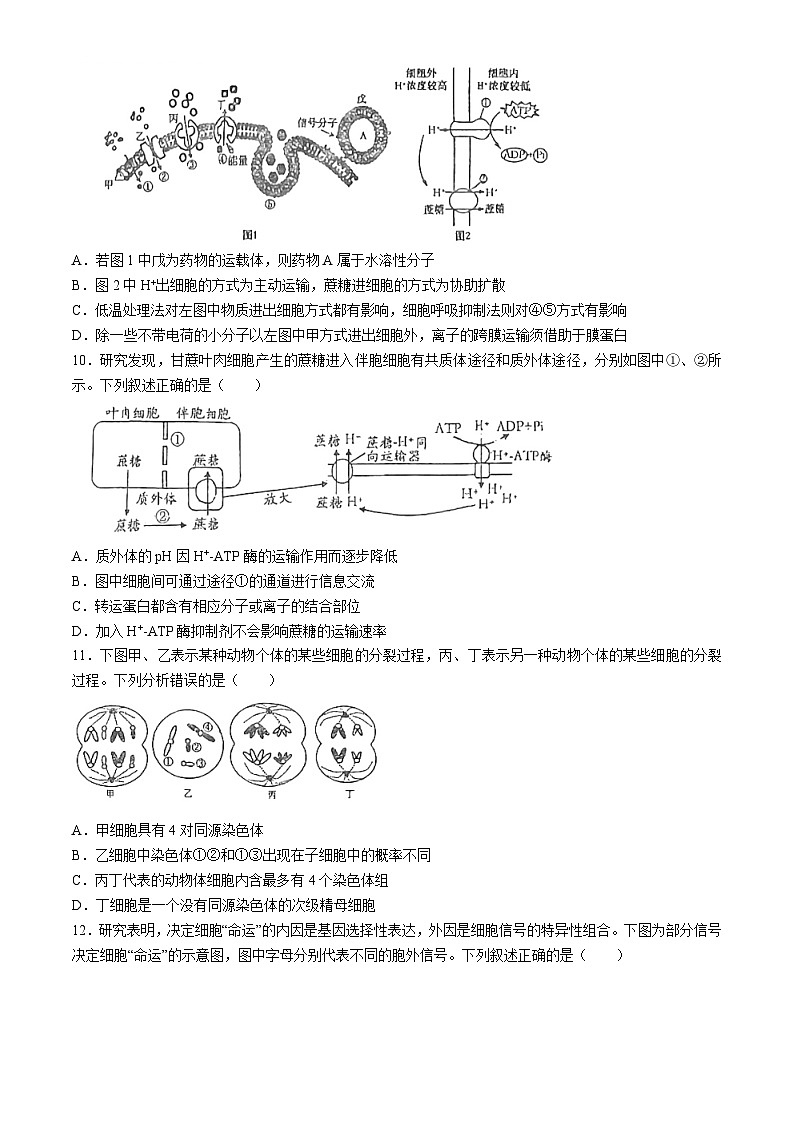 江苏省盐城市射阳县射阳中学2024-2025学年高三上学期9月月考生物试题第3页