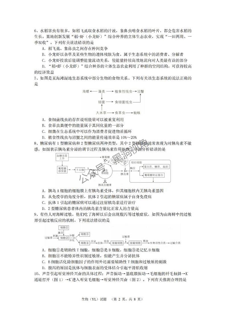 湖南省长沙市雅礼中学2024-2025学年高三上学期（9月）综合自主测试生物+答案第2页