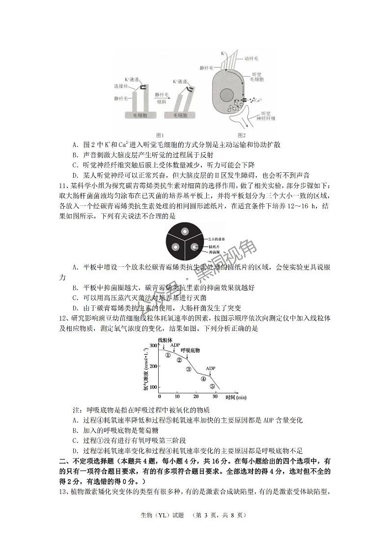湖南省长沙市雅礼中学2024-2025学年高三上学期（9月）综合自主测试生物+答案第3页