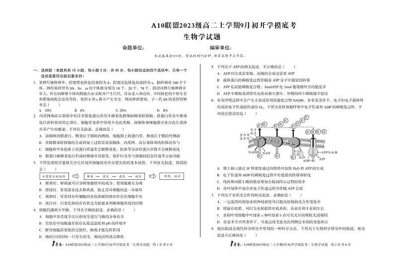 安徽省A10联盟2024-2025学年高二上学期9月初开学摸底考生物试题01