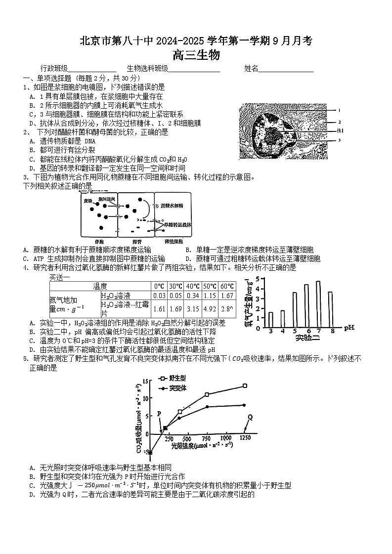 北京市第八十中学2024--2025学年高三上学期9月月考生物试题01