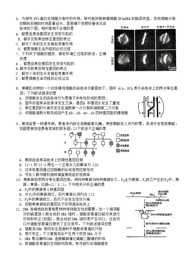 北京市第八十中学2024--2025学年高三上学期9月月考生物试题02