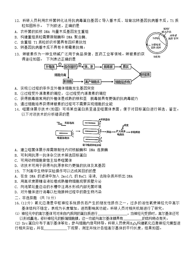 北京市第八十中学2024--2025学年高三上学期9月月考生物试题03