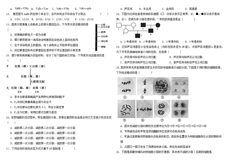 福建省福州青鸟北附高级中学2023-2024学年高一下学期4月月考生物试题02