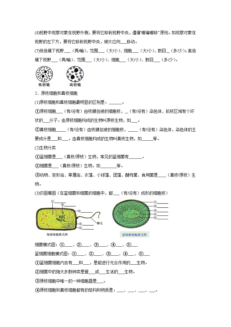 高中生物微专题-必修一知识填空-第1章 第2节 细胞的多样性和统一性-2025年高考生物一轮复习知识填空练习第2页