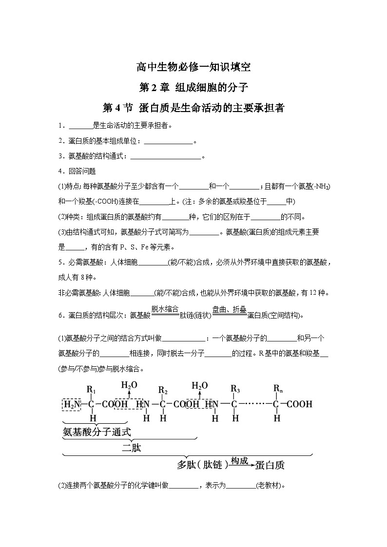 高中生物微专题-必修一知识填空-第2章 第4节 蛋白质是生命活动的主要承担者-2025年高考生物一轮复习知识填空练习第1页