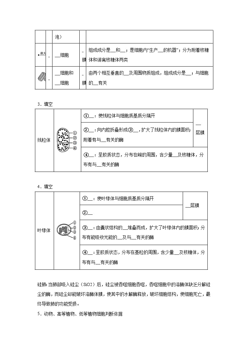 高中生物微专题-必修一知识填空-第3章 第2节 细胞器之间的分工合作-2025年高考生物一轮复习知识填空练习第2页