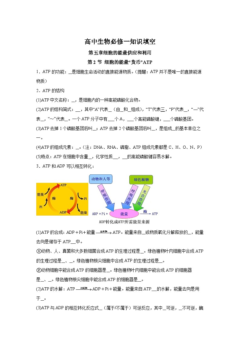 高中生物微专题-必修一知识填空-第5章 第2节 细胞的能量“货币”ATP-2025年高考生物一轮复习知识填空练习第1页