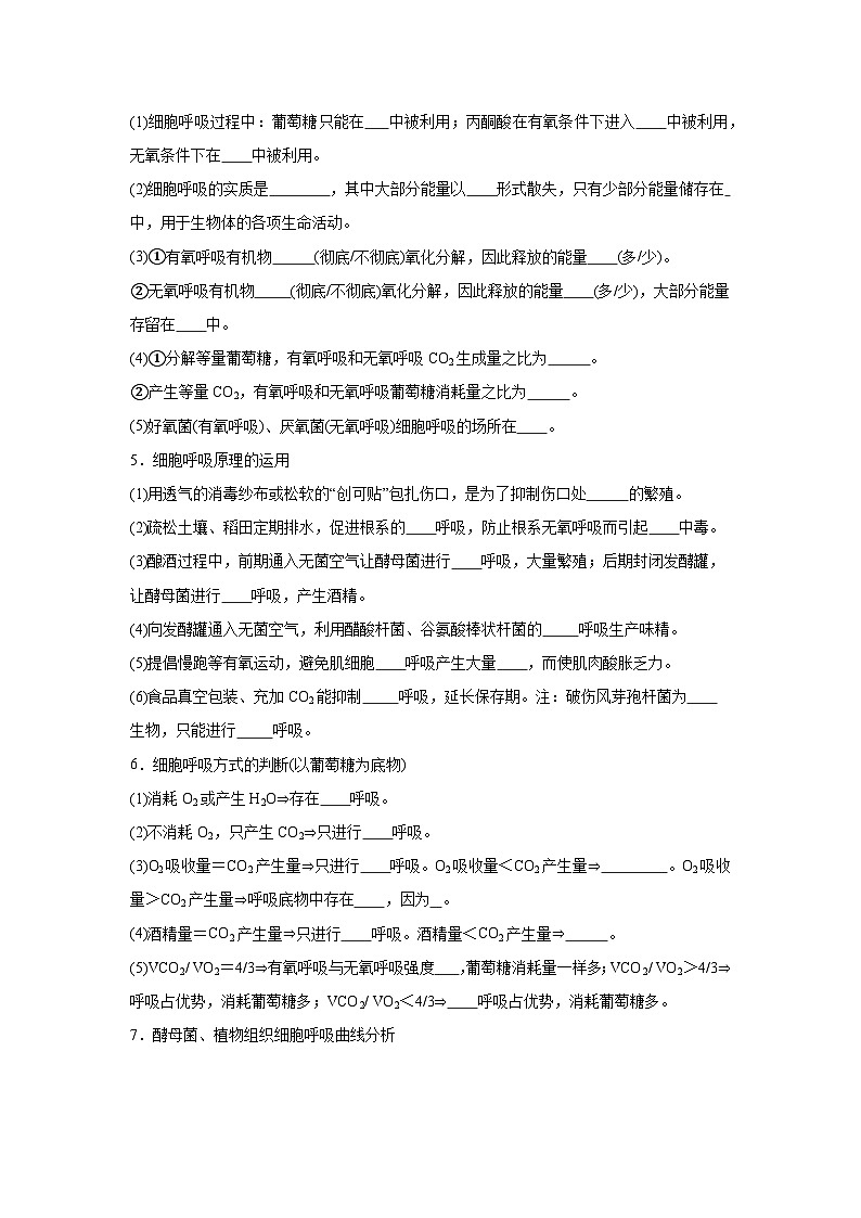 高中生物微专题-必修一知识填空-第5章 第3节 细胞呼吸的原理和应用-2025年高考生物一轮复习知识填空练习第3页