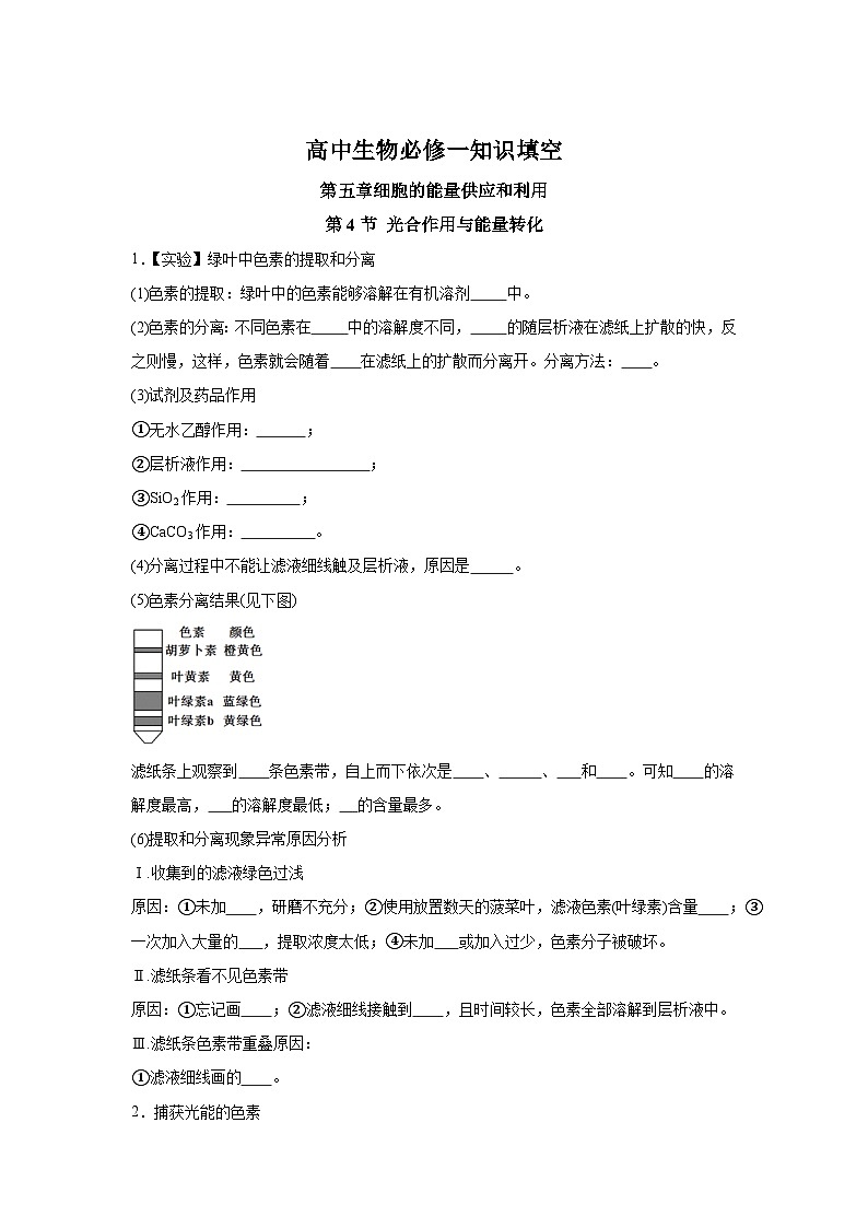 高中生物微专题-必修一知识填空-第5章 第4节 光合作用与能量转化-2025年高考生物一轮复习知识填空练习第1页