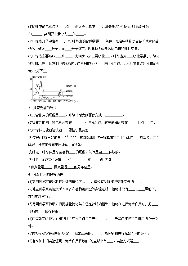 高中生物微专题-必修一知识填空-第5章 第4节 光合作用与能量转化-2025年高考生物一轮复习知识填空练习第2页