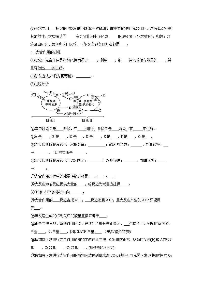 高中生物微专题-必修一知识填空-第5章 第4节 光合作用与能量转化-2025年高考生物一轮复习知识填空练习第3页